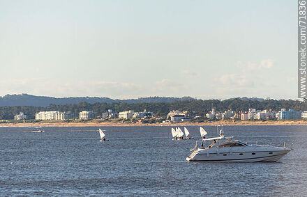 Yachts and sailboats in the Mansa - Punta del Este and its near resorts - URUGUAY. Photo #71836