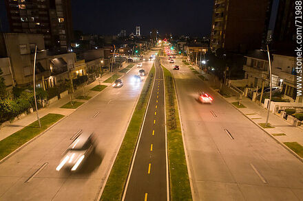 Aerial view of the L. A. de Herrera Avenue bicycle lane at night -  - MORE IMAGES. Photo #71988