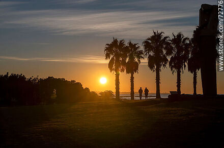 Sunrise between the palm trees and the sea - Department of Montevideo - URUGUAY. Photo #72776