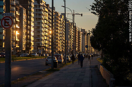 Winter sunrise on Mahatma Gandhi Boulevard - Department of Montevideo - URUGUAY. Photo #72801