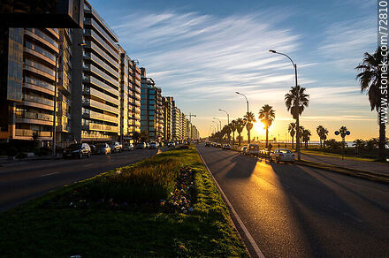Winter sunrise on Mahatma Gandhi Boulevard - Department of Montevideo - URUGUAY. Photo #72810