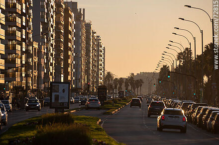 Winter sunrise on Mahatma Gandhi Boulevard - Department of Montevideo - URUGUAY. Photo #72815
