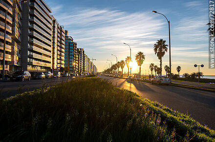 Sunrise on the promenade from the flowerbed - Department of Montevideo - URUGUAY. Photo #72817