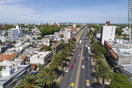 Aerial view from Bulevar Artigas - Department of Montevideo - URUGUAY. Photo #73121