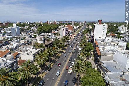 Aerial view from Bulevar Artigas - Department of Montevideo - URUGUAY. Photo #73120