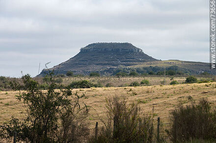 Cerro Miriñaque hill - Department of Rivera - URUGUAY. Photo #73656