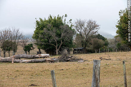 Tapera in the countryside - Department of Rivera - URUGUAY. Photo #73646