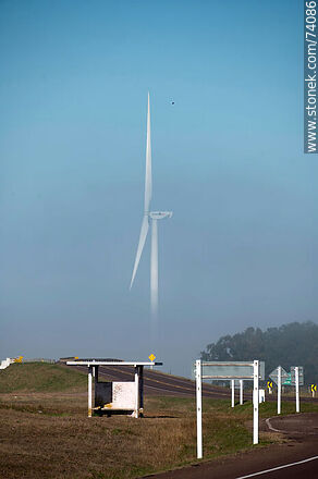 Wind turbines emerging from the morning fog near the Pampa station on Route 5. - Tacuarembo - URUGUAY. Photo #74086