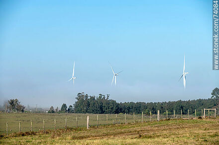 Wind turbines emerging from the morning fog near the Pampa station on Route 5. - Tacuarembo - URUGUAY. Photo #74084