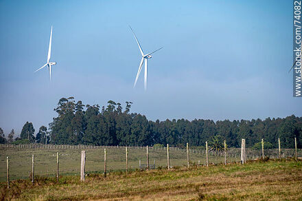 Wind turbines emerging from the morning fog near the Pampa station on Route 5. - Tacuarembo - URUGUAY. Photo #74082