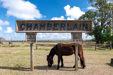 Horse grazing under one of the station signs - Tacuarembo - URUGUAY. Photo #74188