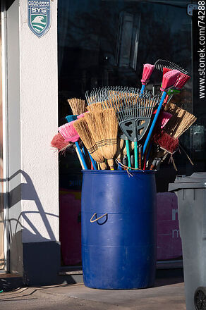 Brooms, squeegees and brushes - Department of Cerro Largo - URUGUAY. Photo #74288