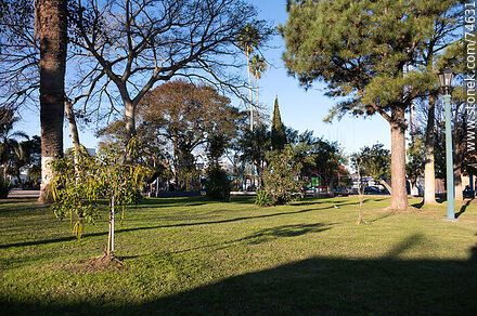 Plaza de Río Branco - Departamento de Cerro Largo - URUGUAY. Foto No. 74631