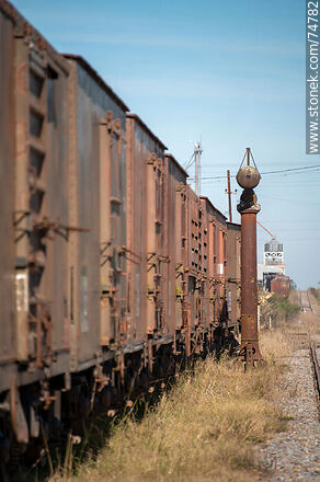 Vergara railroad station. Freight wagons - Department of Treinta y Tres - URUGUAY. Photo #74782