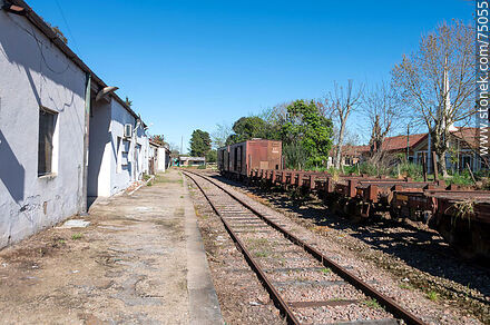 Estación Toledo de trenes. Tramo de vía hacia el norte - Departamento de Canelones - URUGUAY. Foto No. 75055