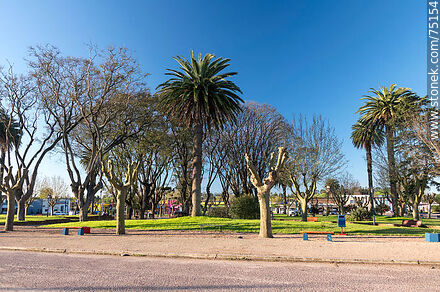 Plaza de San Bautista - Departamento de Canelones - URUGUAY. Foto No. 75154