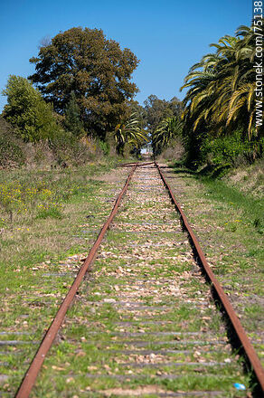 Cazot train station in San Bautista. Old disused rusty track - Department of Canelones - URUGUAY. Photo #75138
