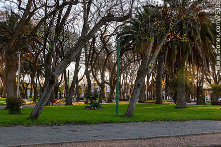 Plaza - Departamento de Canelones - URUGUAY. Foto No. 75326