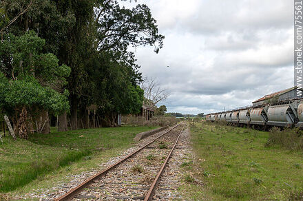 Former Mansavillagra train station - Department of Florida - URUGUAY. Photo #75561