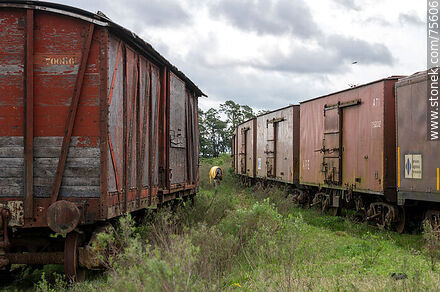 Estación de ferrocarril de Illescas. Antiguos vagones de carga - Departamento de Florida - URUGUAY. Foto No. 75606
