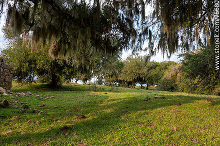 La Grasería del Timote on the Jesuit Route (Route 6) - Department of Florida - URUGUAY. Photo #75680