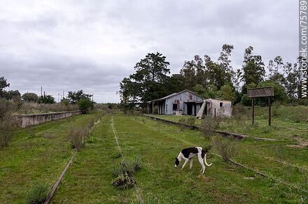 Former Tabaré train station - Department of Florida - URUGUAY. Photo #75789
