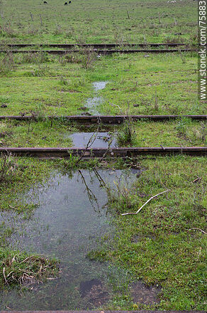 Agua de lluvia entre las vías - Departamento de Durazno - URUGUAY. Foto No. 75883