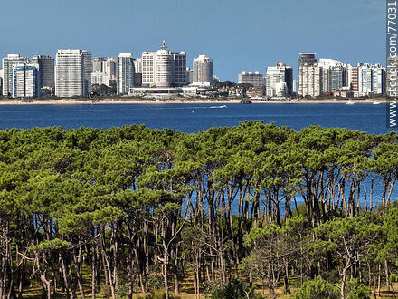 Vista aérea de un acercamiento de los árboles de la isla y los edificios de Punta del Este - Punta del Este y balnearios cercanos - URUGUAY. Foto No. 77031