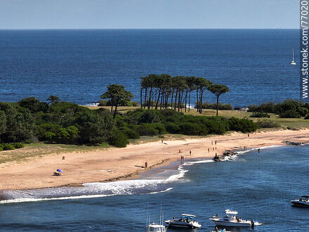 Aerial view of the west coast of the island - Punta del Este and its near resorts - URUGUAY. Photo #77020