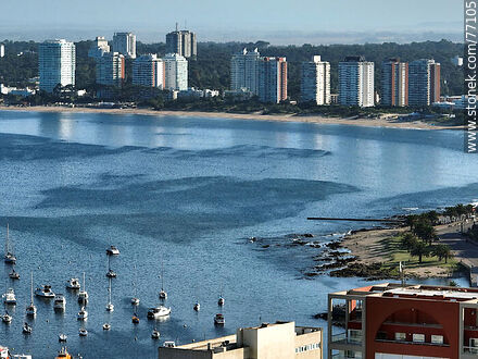Vista aérea de la bahía de Punta del Este en la mañana - Punta del Este y balnearios cercanos - URUGUAY. Foto No. 77105