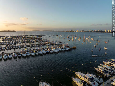 Aerial view of Rambla Artigas in front of the port at sunset - Punta del Este and its near resorts - URUGUAY. Photo #77188