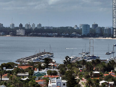 Vista aérea de la bahía de Punta del Este - Punta del Este y balnearios cercanos - URUGUAY. Foto No. 77158