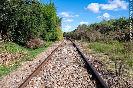 Olmos train station. Tracks in use - Department of Canelones - URUGUAY. Photo #77650