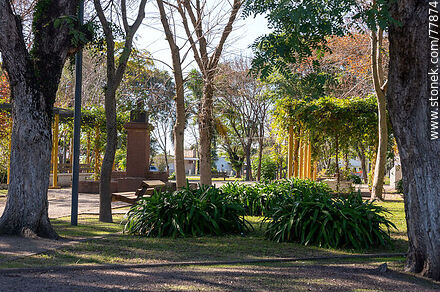 Plaza de Cebollatí - Departamento de Rocha - URUGUAY. Foto No. 77874