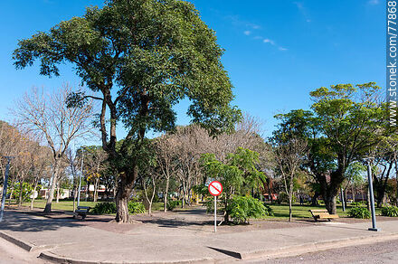 Plaza de Cebollatí - Departamento de Rocha - URUGUAY. Foto No. 77868