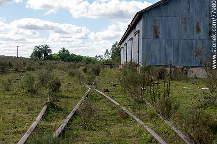 Former Julio M. Sanz railroad station. Platform and row of freight cars - Department of Treinta y Tres - URUGUAY. Photo #77980