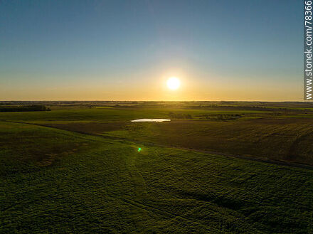 Aerial view of Uruguayan backlit fields -  - URUGUAY. Photo #78366