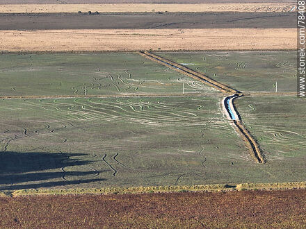 Aerial view of rice fields in San Miguel - Department of Rocha - URUGUAY. Photo #78408
