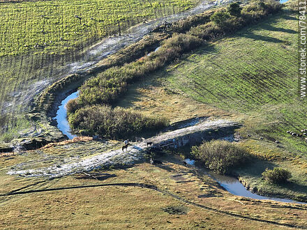 Vista aérea de un canal para el cultivo de arroz - Departamento de Rocha - URUGUAY. Foto No. 78411