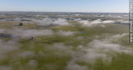 Vista aérea de nubes muy bajas en el campo -  - URUGUAY. Foto No. 78423