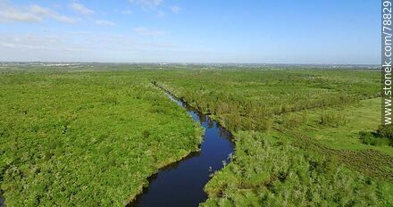 Aerial photo of Pando Creek upstream - Department of Canelones - URUGUAY. Photo #78829