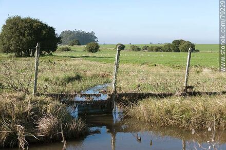 Curso de agua por debajo de una alambrada -  - URUGUAY. Photo #79229