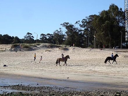 Caballos en la playa - Departamento de Montevideo - URUGUAY. Foto No. 79764
