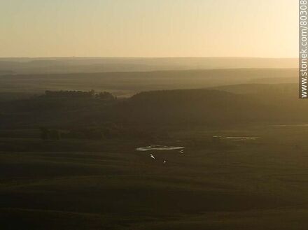 Aerial view of fields at sunset with backlighting - Department of Rivera - URUGUAY. Photo #80308