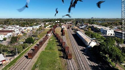 Vista aérea de la estación de trenes. Vagones de transporte de troncos - Tacuarembo - URUGUAY. Photo #80813