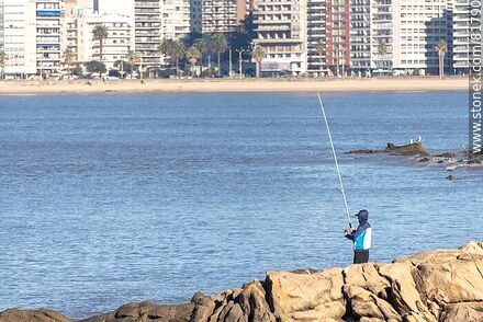 Pescador en playa Pocitos - Departamento de Montevideo - URUGUAY. Foto No. 81790