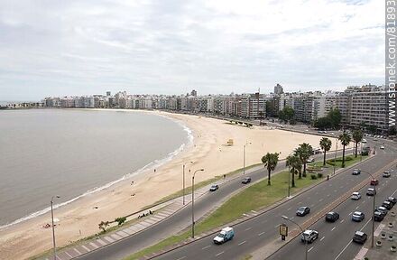 Pocitos Promenade from the top of a building - Department of Montevideo - URUGUAY. Photo #81893