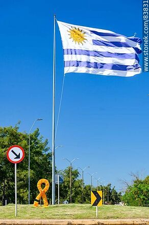 Bandera uruguaya en la rotonda de las avenidas Artigas y Lavalleja - Departamento de Artigas - URUGUAY. Foto No. 83831