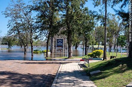 Crecida del río Uruguay sobre el parque Rivera inundado - Departamento de Artigas - URUGUAY. Foto No. 83825