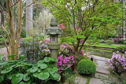 Primavera en el Jardín Japonés. Farol japonés - Departamento de Montevideo - URUGUAY. Foto No. 83992